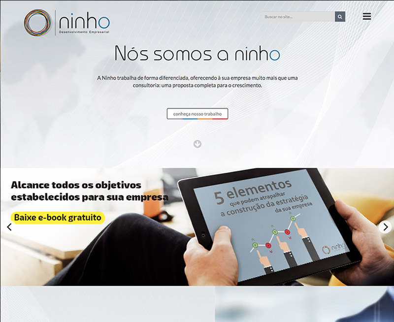 Projeto ninho.biz